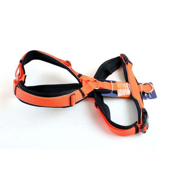 HS Schweiss Sele Medium FT Springer/F1 Labrador