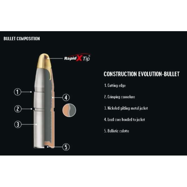 RWS 308Win 165gr./10,7gr. Driven Hunt - Image 2