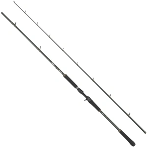 ABU BEAST X2 7011 MH Casting 20-70g